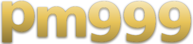 pm999 logo